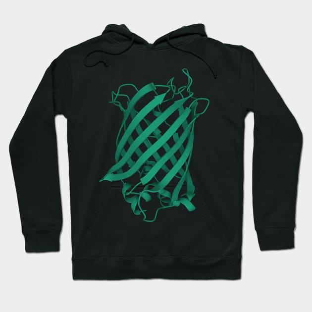 GFP Green fluorescent protein Hoodie by labstud